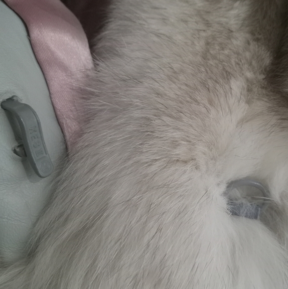 Authentic fox fur coat - Picture 6 of 6